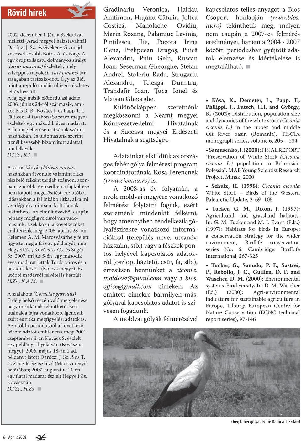 A faj egy másik előfordulási adata 2006. június 24-ről származik, amikor Kis R. B., Kovács I. és Papp T. a Fălticeni -i tavakon (Suceava megye) észleltek egy második éves madarat.