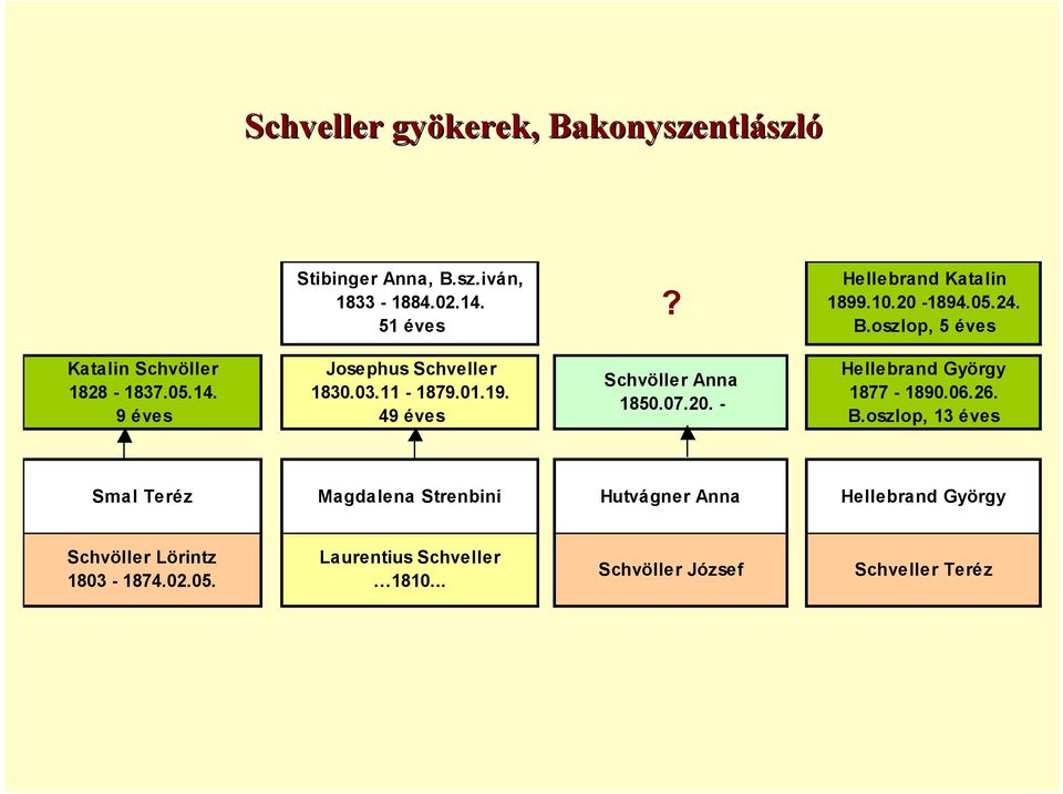 49 éves Schvöller Anna 1850.07.20. - Hellebrand György 1877-1890.06.26. B.