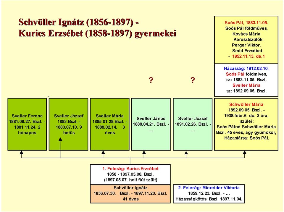 1888.02.14. 3 éves Sveller János 1888.04.21. Sveller József 1891.02.26. Schwöller Mária 1892.09.05. 1938.febr.6. du. 3 óra, szülei: Soós Pálné Schwöller Mária Bszl.