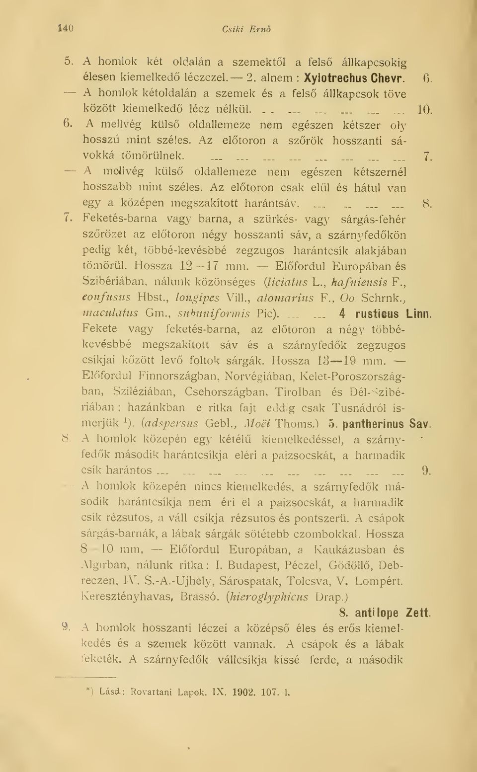 Az eltörn a szrök hosszanti sávokká tömörülnek. _.. _.....,.. 7. A mejlvég küls oldallemeze nem egészen kétszernél hosszabb mint széles.