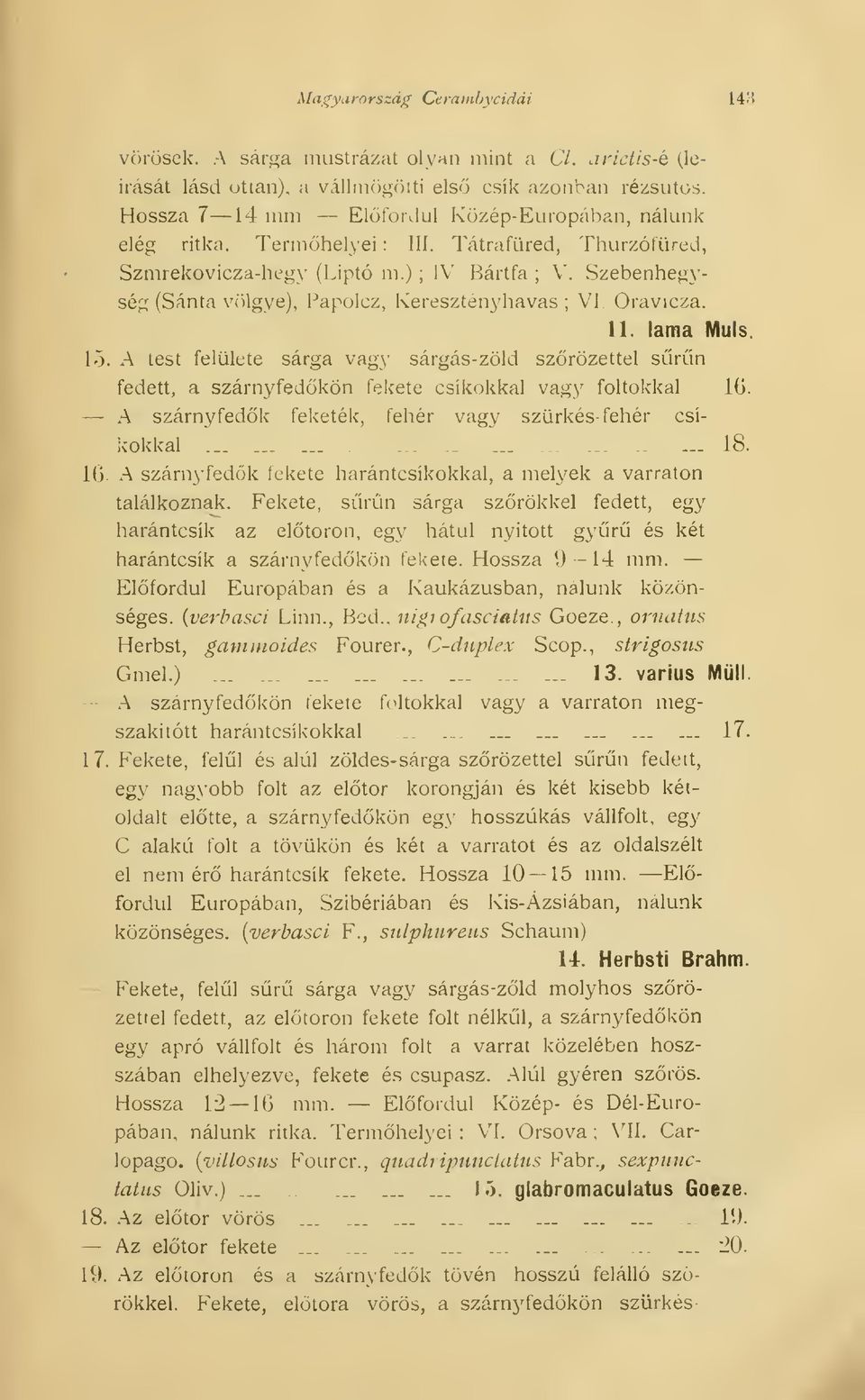 Szebenhegység (Sánta völgye), Papolcz, Keresztényhavas ; VI. Oravicza. 11. láma Muls. 15.