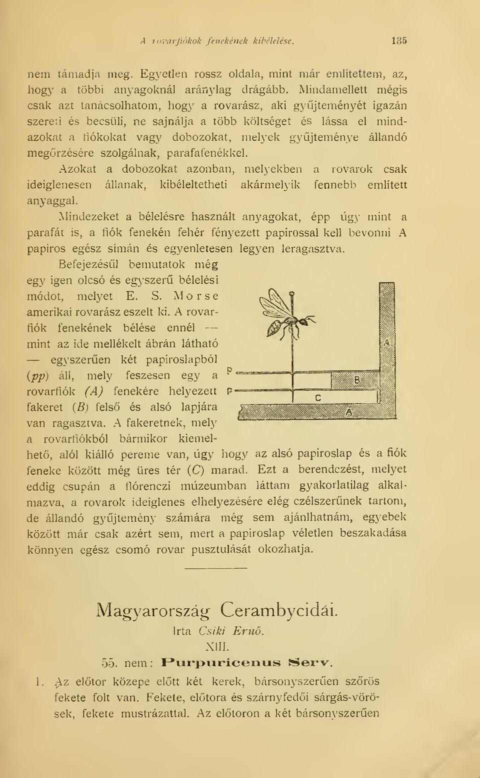 gyjteménye állandó megrzésére szolgálnak, parafafenékkel. Azokat a dobozokat azonban, melyekben a lovarok csak ideiglenesen állanak, kibéleltetheti akármelyik fennebb említett anyaggal.