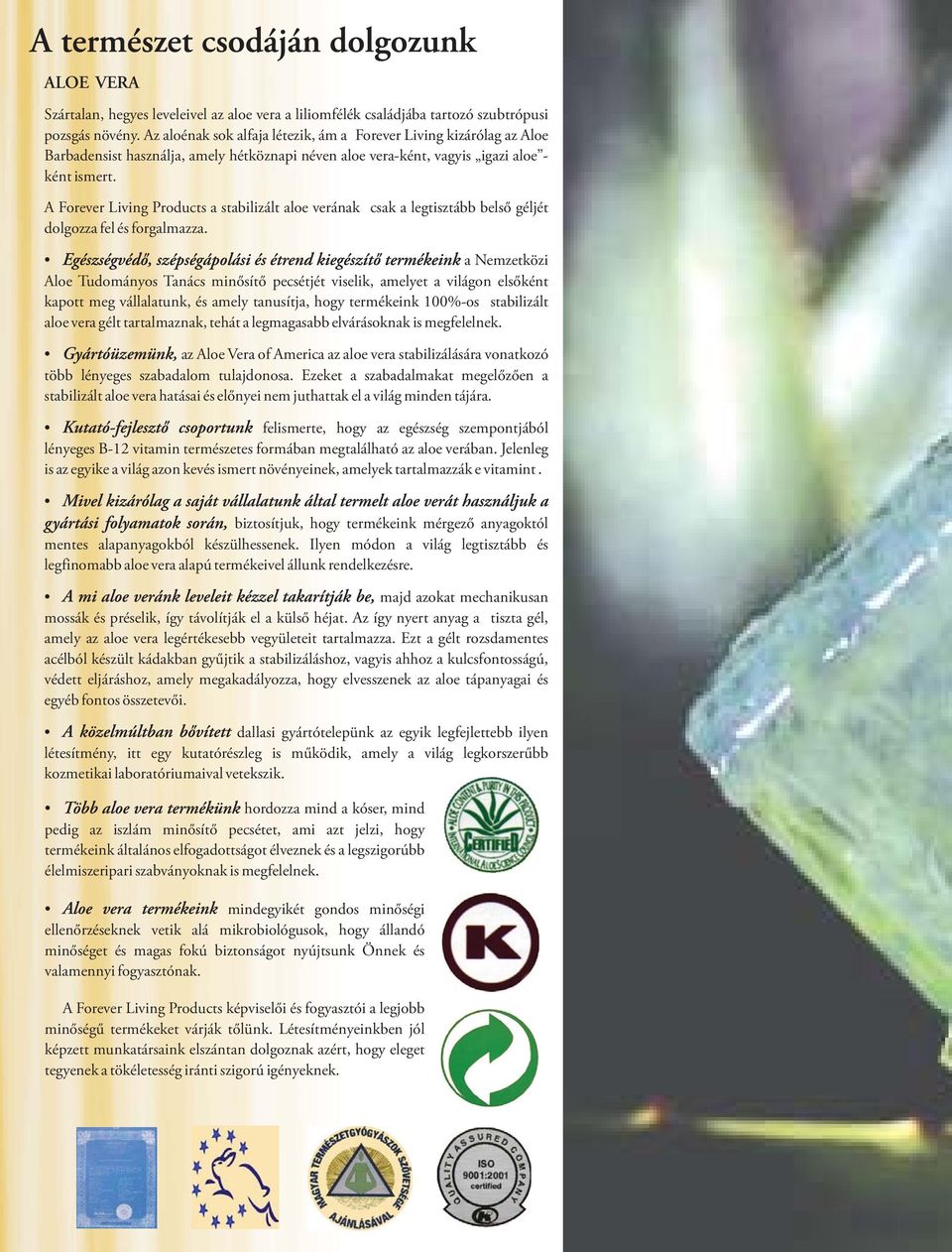 A Forever Living Products a stabilizált aloe verának csak a legtisztább belső géljét dolgozza fel és forgalmazza.
