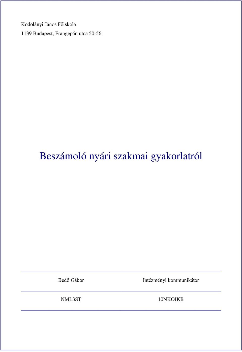 Beszámoló nyári szakmai gyakorlatról