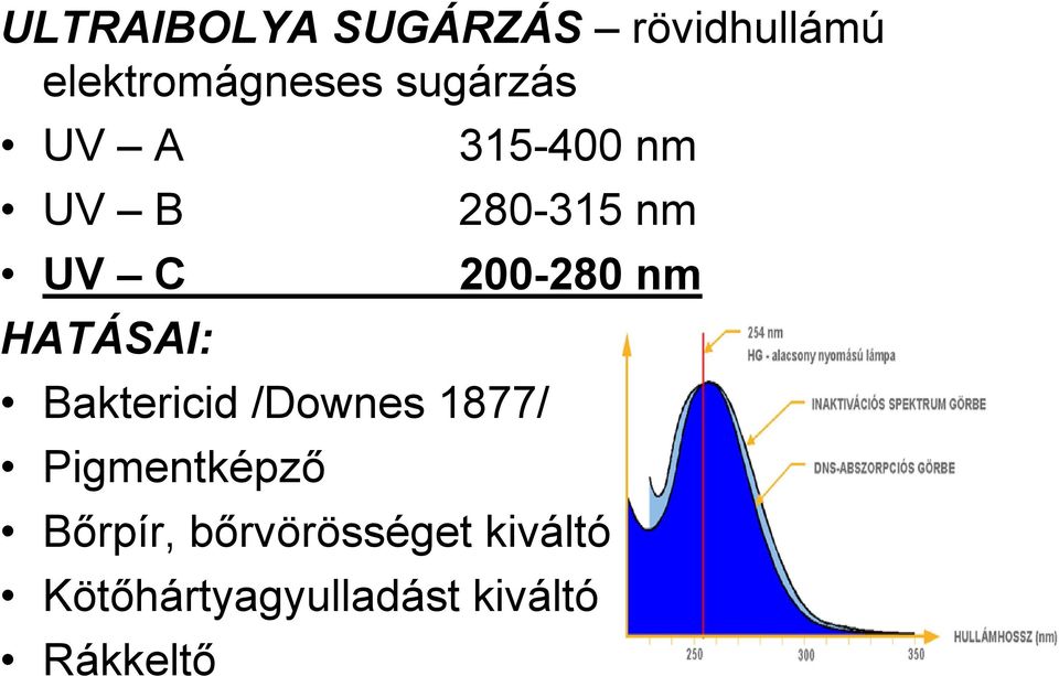 nm HATÁSAI: Baktericid /Downes 1877/ Pigmentképző