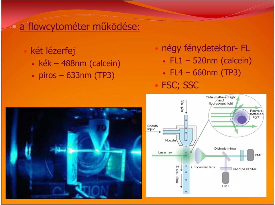 633nm (TP3) négy fénydetektor- FL