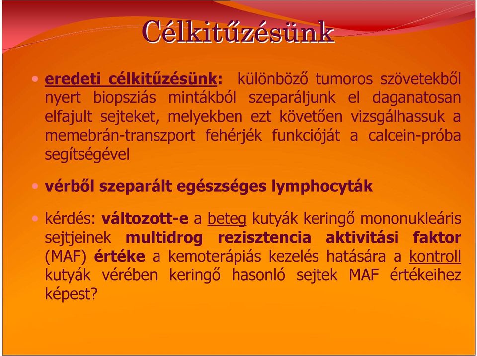 vérbıl szeparált egészséges lymphocyták kérdés: változott-e a beteg kutyák keringı mononukleáris sejtjeinek multidrog
