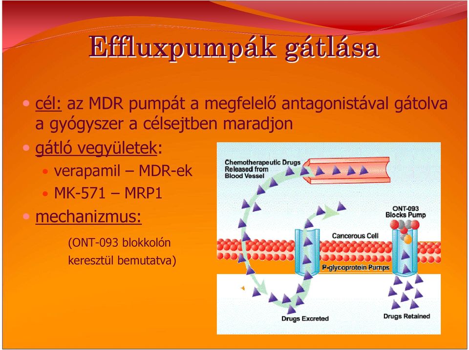 célsejtben maradjon gátló vegyületek: verapamil