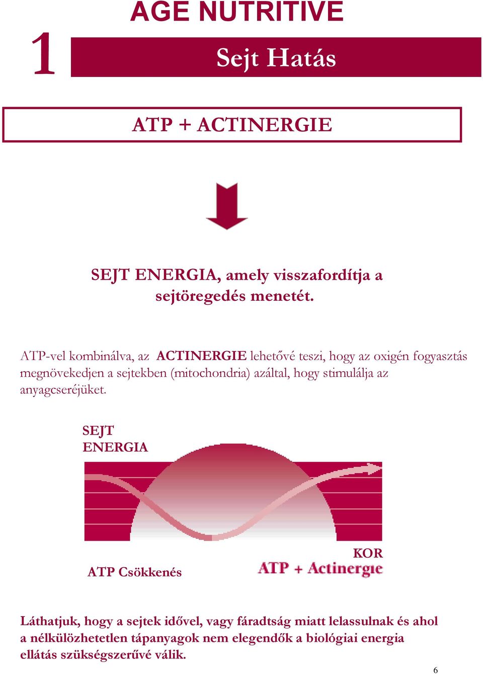 azáltal, hogy stimulálja az anyagcseréjüket.