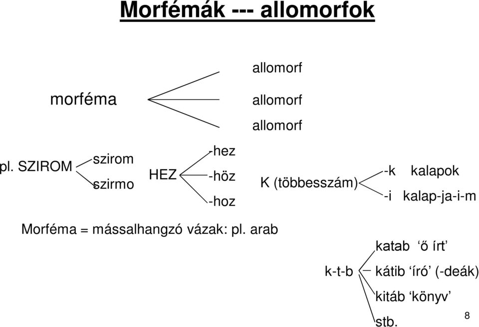 -k kalapok -i kalap-ja-i-m Morféma = mássalhangzó vázak: pl.