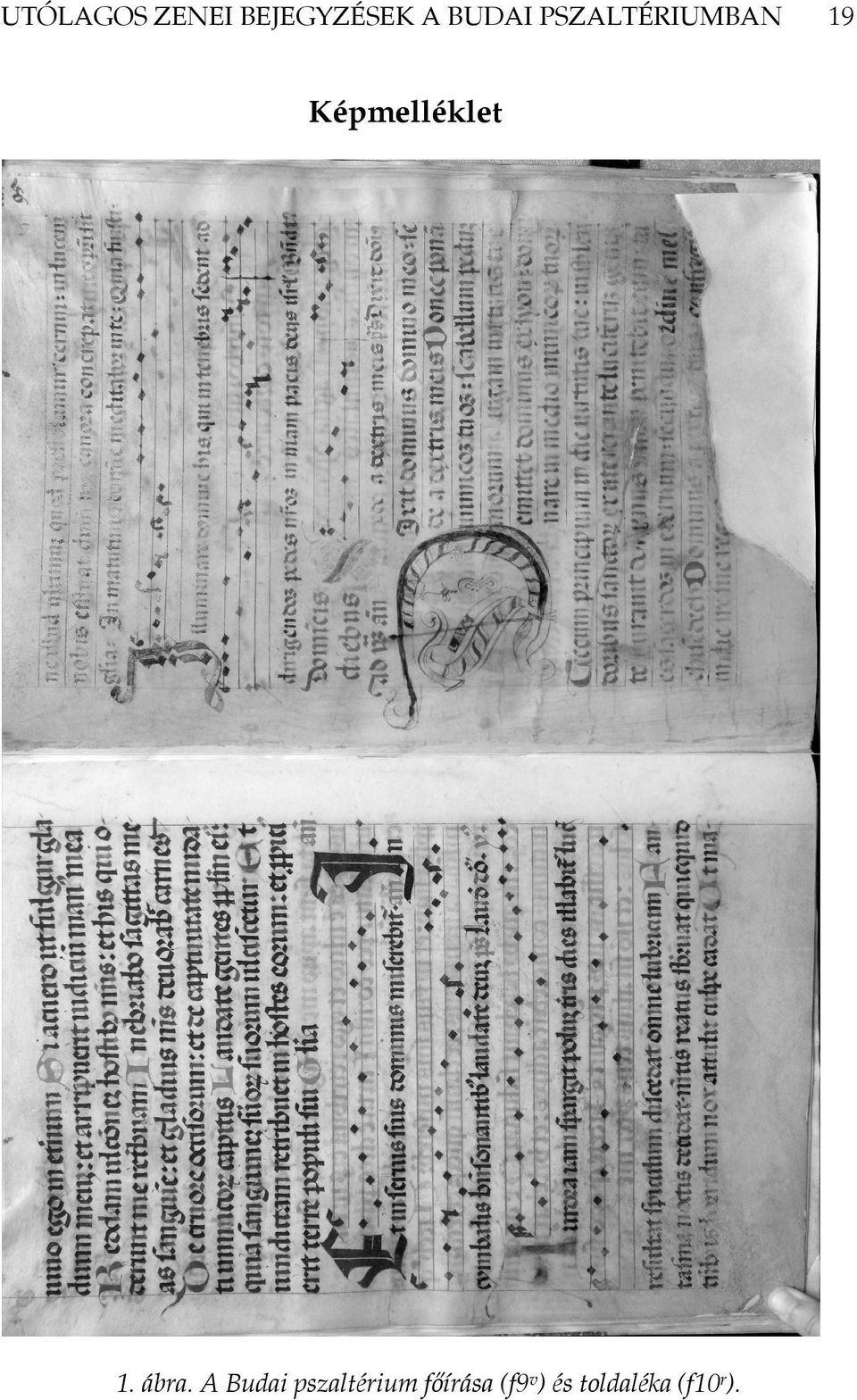 Képmelléklet 1. ábra.