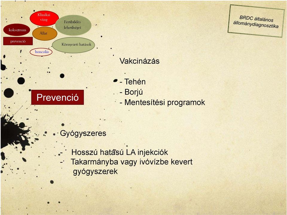 Prevenció - Tehén -Borjú - Mentesítési programok