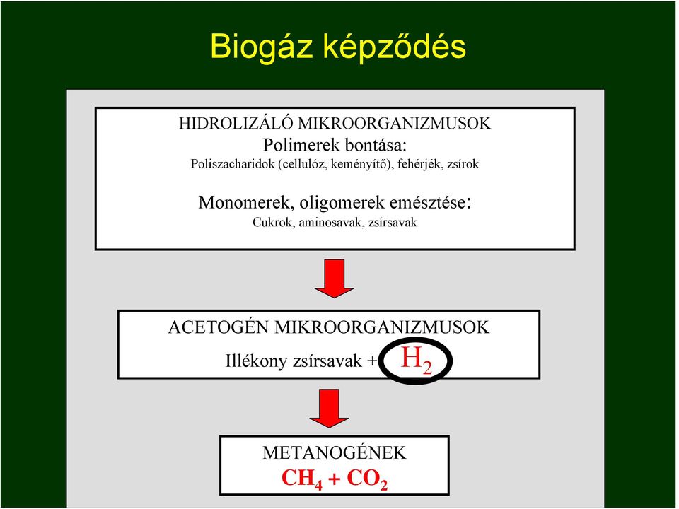 Monomerek, oligomerek emésztése: Cukrok, aminosavak, zsírsavak