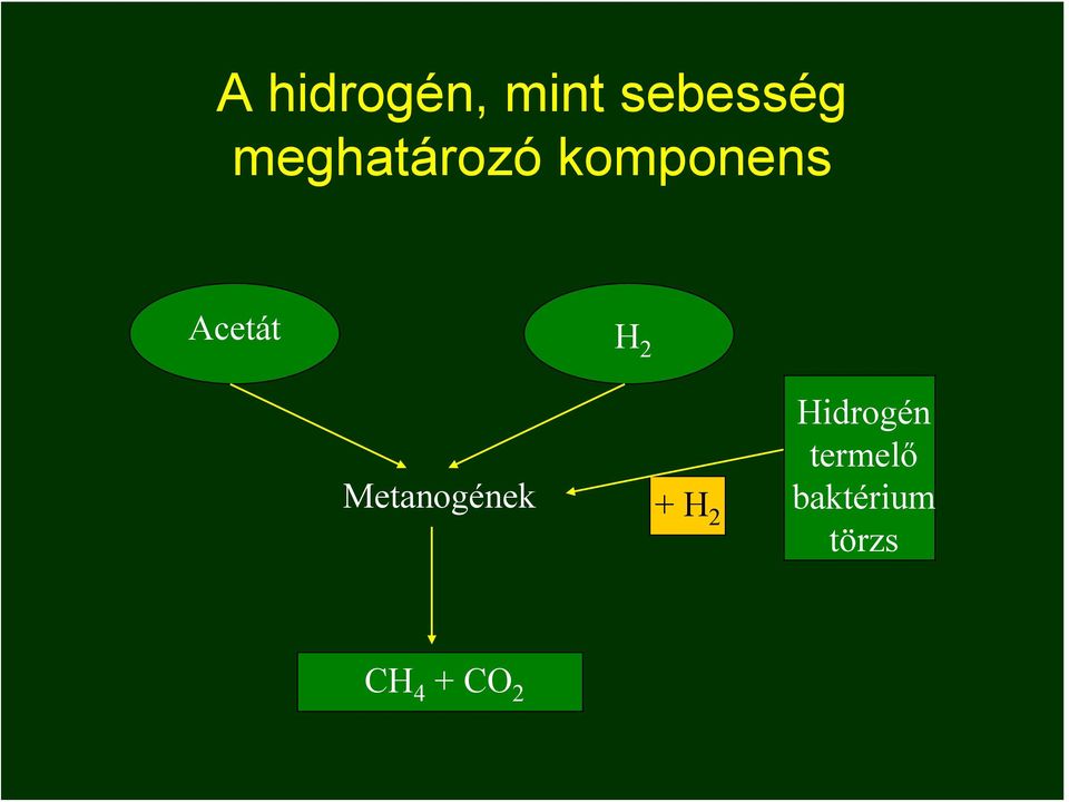 2 Metanogének + H 2 Hidrogén