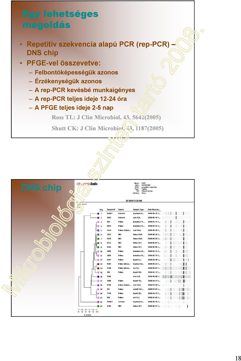 munkaigényes A rep-pcr teljes ideje 12-2424 óra A PFGE teljes ideje 2-5 nap Ross