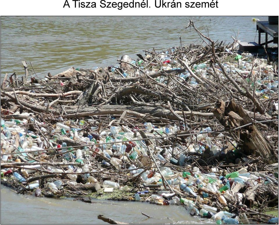 Ukrán