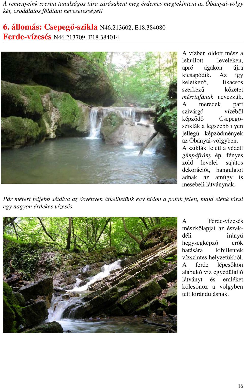A meredek part szivárgó vízébıl képzıdı Csepegısziklák a legszebb ilyen jellegő képzıdmények az Óbányai-völgyben.