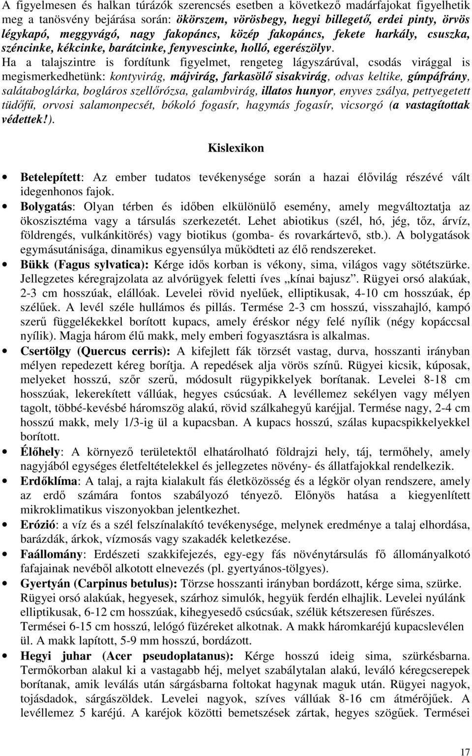 Ha a talajszintre is fordítunk figyelmet, rengeteg lágyszárúval, csodás virággal is megismerkedhetünk: kontyvirág, májvirág, farkasölı sisakvirág, odvas keltike, gímpáfrány, salátaboglárka, bogláros