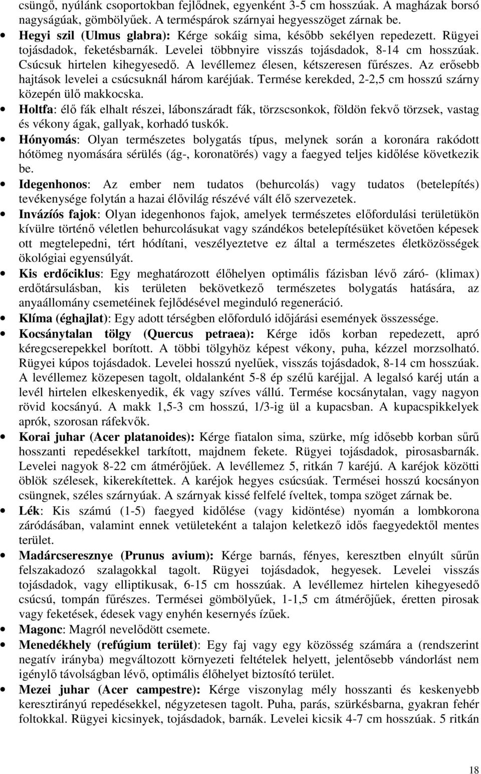 A levéllemez élesen, kétszeresen főrészes. Az erısebb hajtások levelei a csúcsuknál három karéjúak. Termése kerekded, 2-2,5 cm hosszú szárny közepén ülı makkocska.