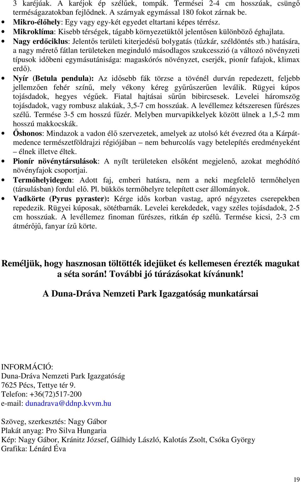 Nagy erdıciklus: Jelentıs területi kiterjedéső bolygatás (tőzkár, széldöntés stb.