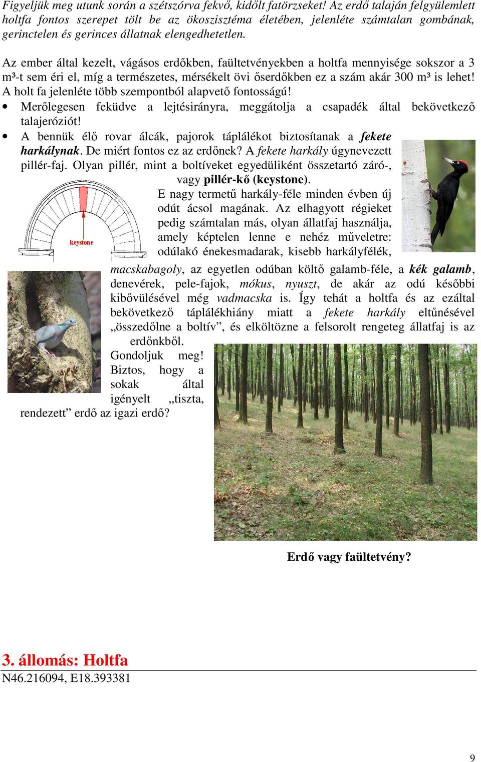 Az ember által kezelt, vágásos erdıkben, faültetvényekben a holtfa mennyisége sokszor a 3 m³-t sem éri el, míg a természetes, mérsékelt övi ıserdıkben ez a szám akár 300 m³ is lehet!