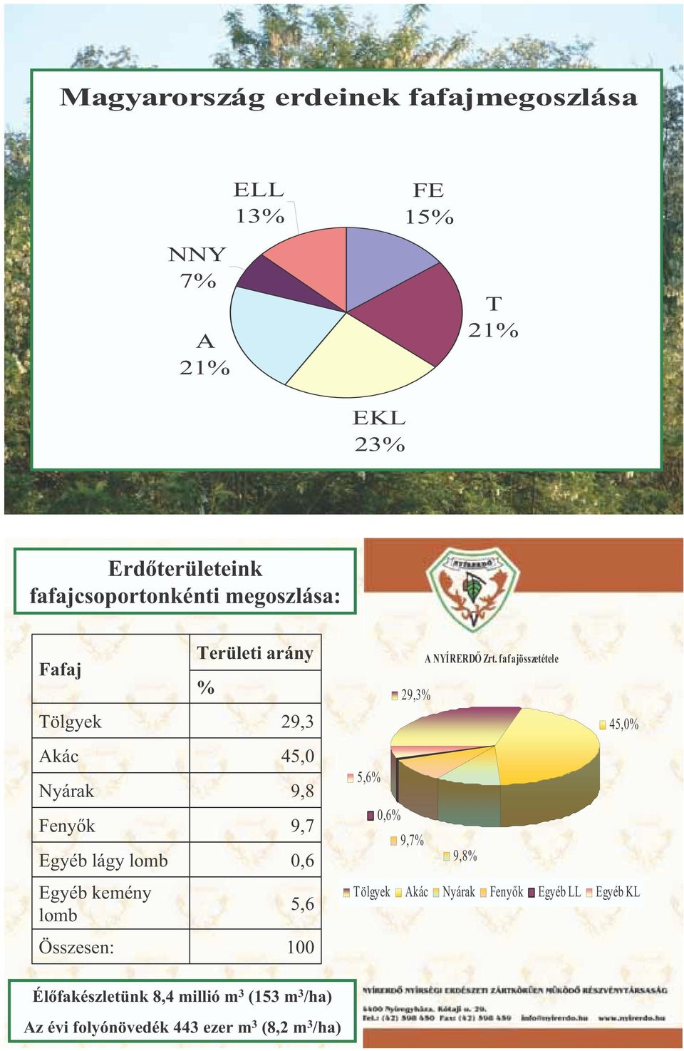 lomb 0,6 Egyéb kemény lomb 5,6 Összesen: 100 A NYÍRERD Zrt.