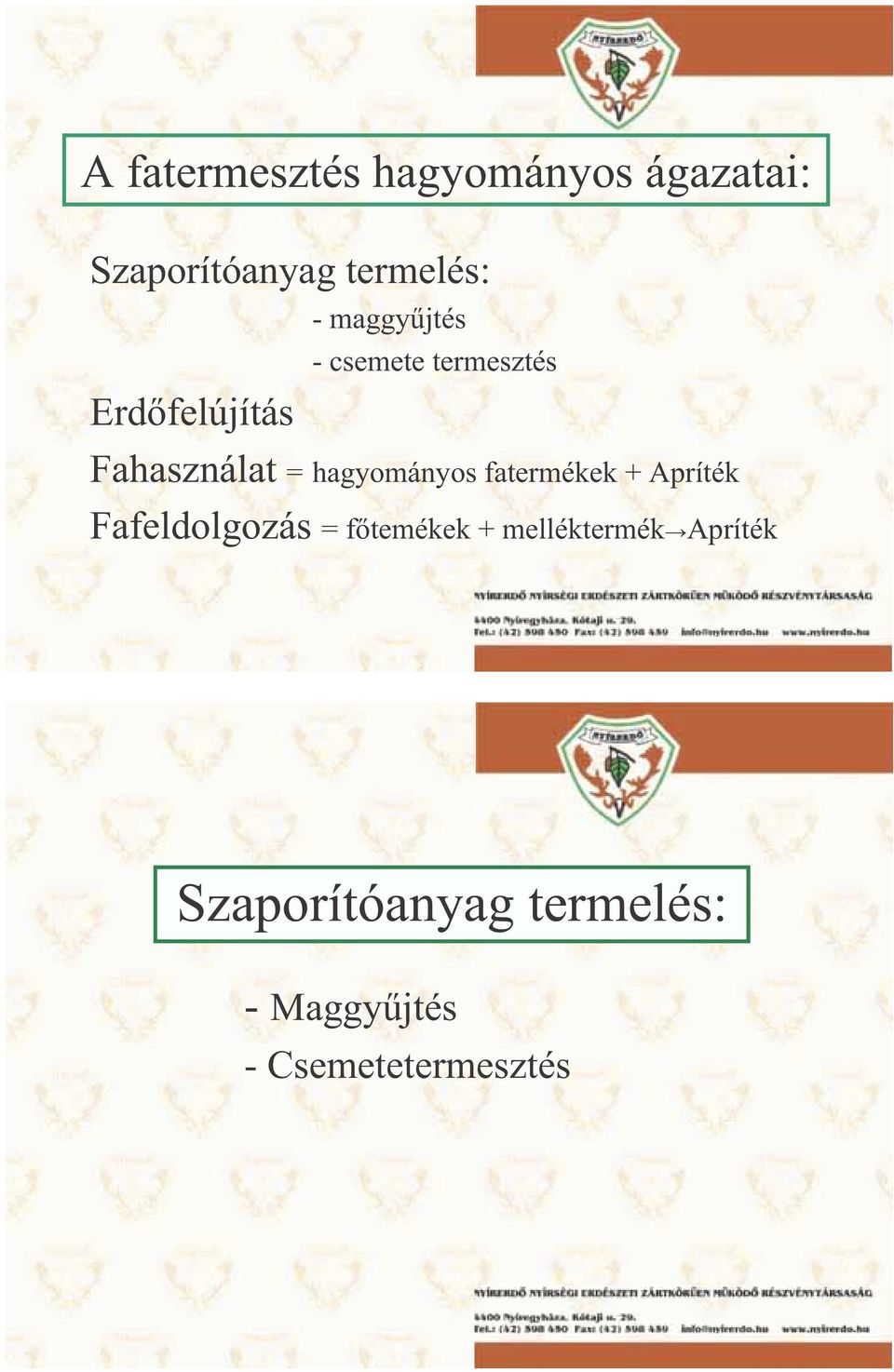 hagyományos fatermékek + Apríték Fafeldolgozás = f temékek +