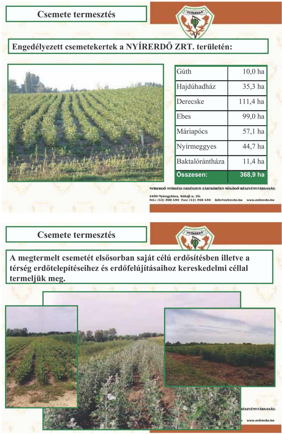 ha 35,3 ha 111,4 ha 99,0 ha 57,1 ha 44,7 ha 11,4 ha 368,9 ha Csemete termesztés A megtermelt