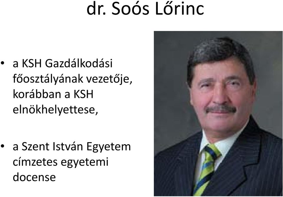 KSH elnökhelyettese, a Szent