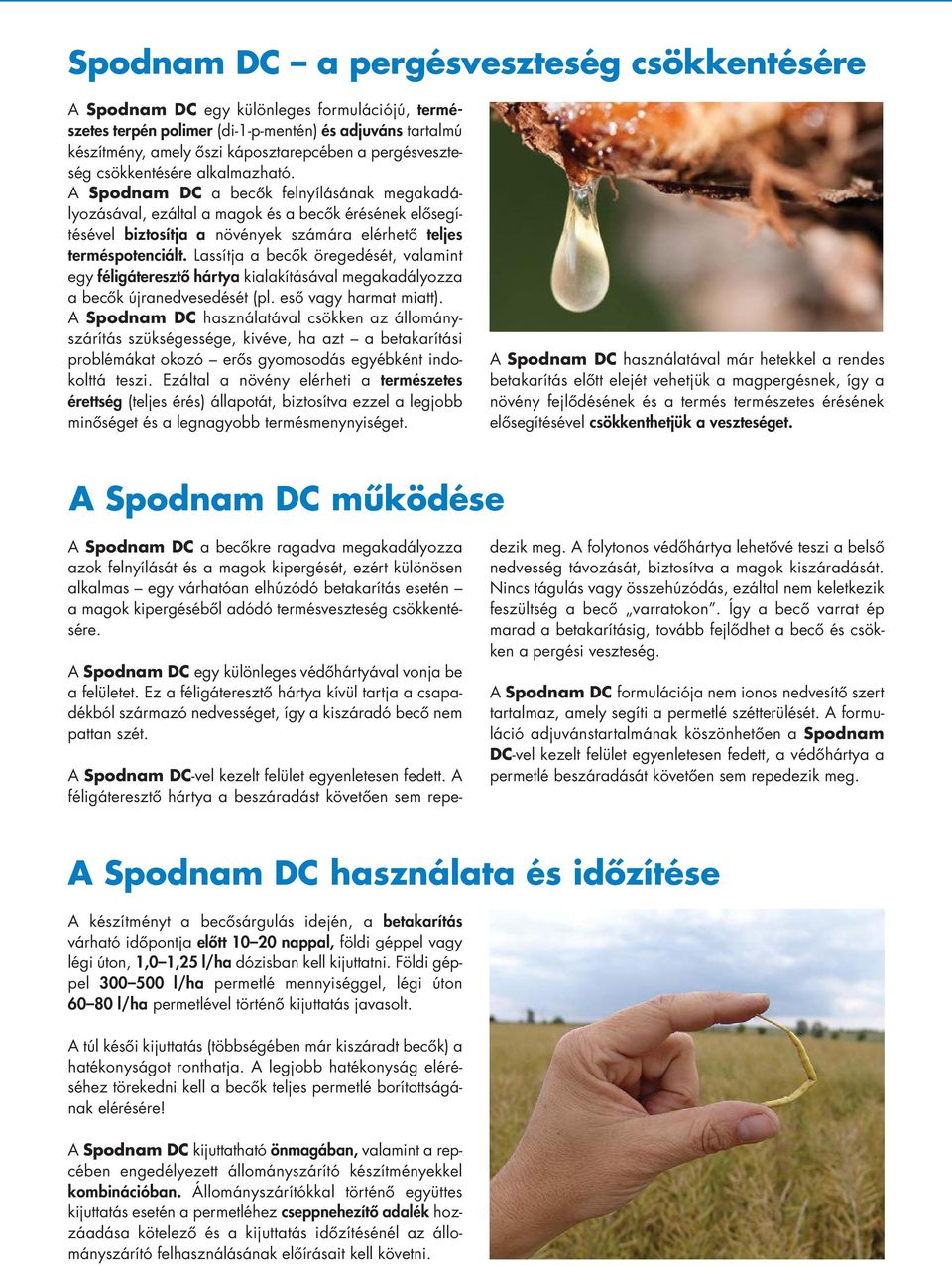 A Spodnam DC a becôk felnyílásának megakadá - lyozásával, ezáltal a magok és a becôk érésének elô se gí - té sével biztosítja a növények számára elérhetô teljes terméspotenciált.