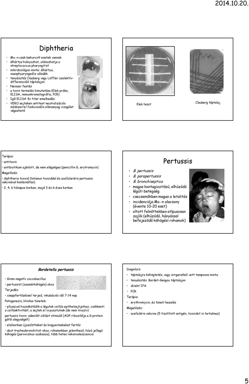 szelektívdifferenciáló táptalajon Neisser festés a toxin termelés kimutatása (Elek próba, ELISA, immunkromatográfia, PCR) IgG ELISA 4x titer emelkedés VERO sejteken antitest neutralizációs módszerrel