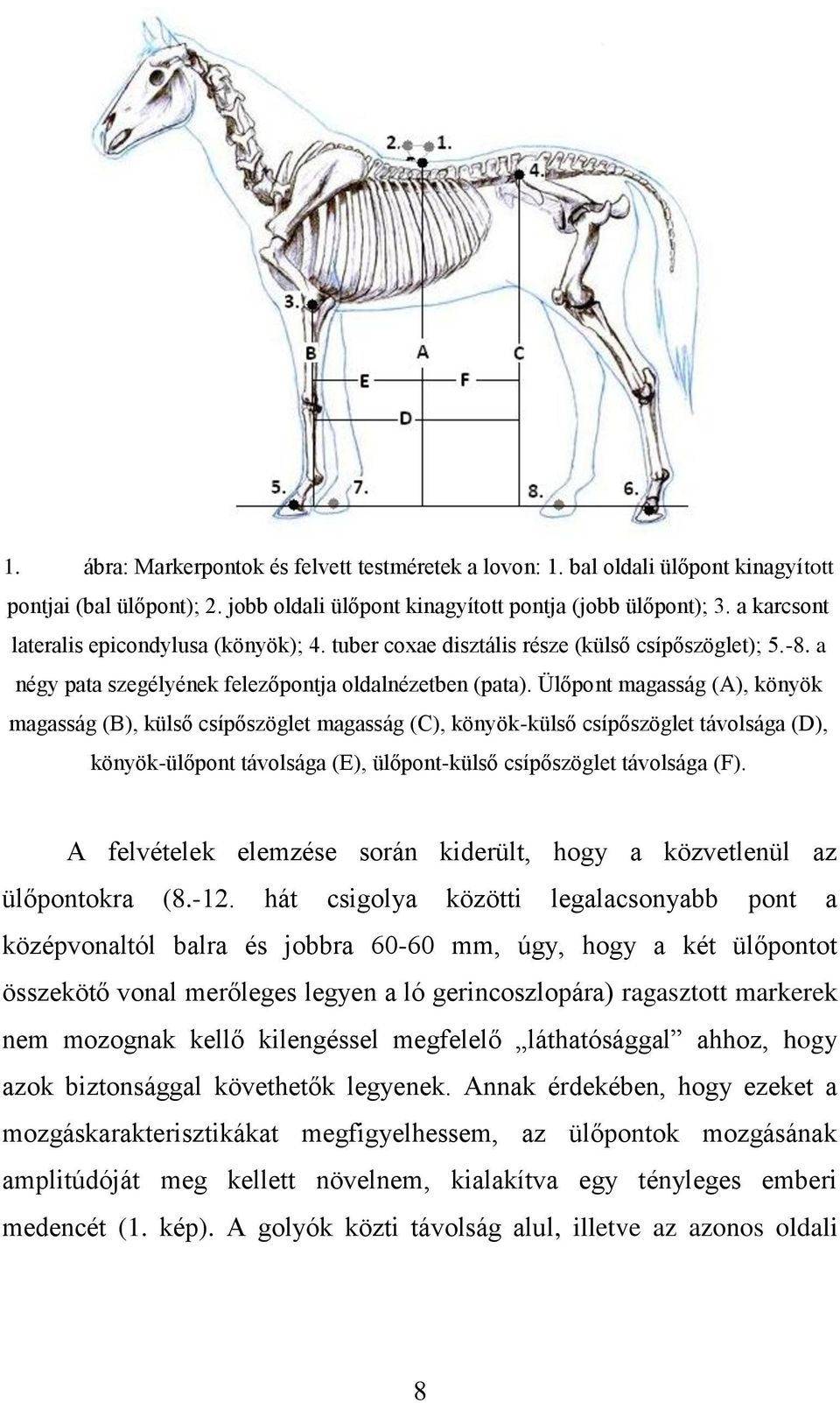 Ülőpont magasság (A), könyök magasság (B), külső csípőszöglet magasság (C), könyök-külső csípőszöglet távolsága (D), könyök-ülőpont távolsága (E), ülőpont-külső csípőszöglet távolsága (F).