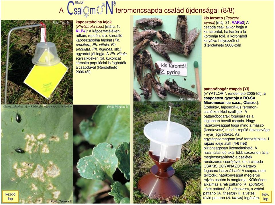 kukorica) kárositó populációi is foghatók a csapdával (RendelhetŒ: 2006-tól). kis farontó (Zeuzera pyrina) [máj.