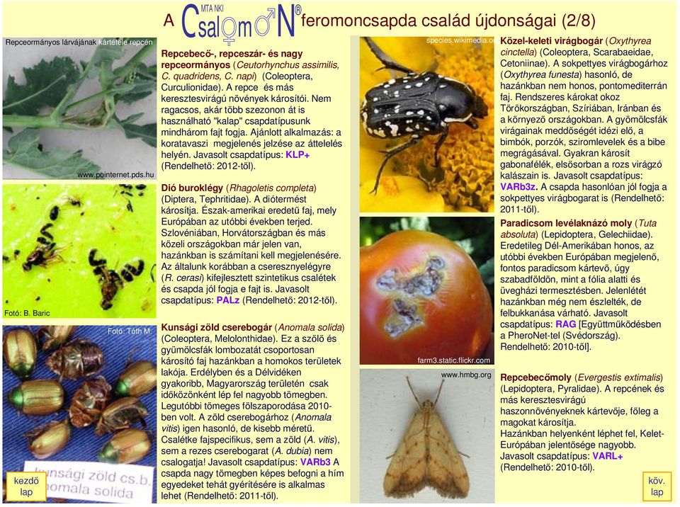 A repce és más keresztesvirágú növények károsítói. Nem ragacsos, akár több szezonon át is használható "ka" csapdatípusunk mindhárom fajt fogja.