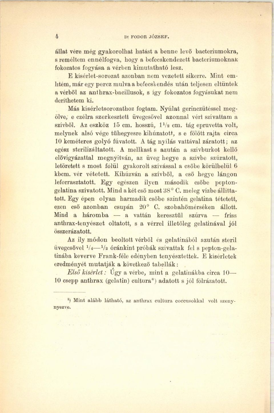 Más kísérletsorozathoz fogtam. Nyálat gerinczütéssel megölve, e czélra szerkesztett üvegcsővel azonnal vért szívattam a szívből. Az eszköz 15 cm. hosszú, IV2 cm.
