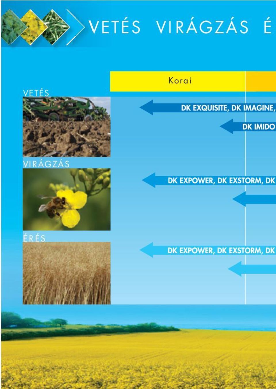 VETÉS Korai