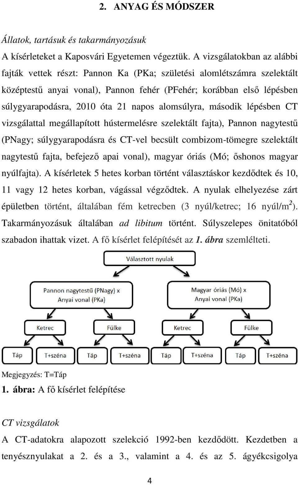 napos alomsúlyra, második lépésben CT vizsgálattal megállapított hústermelésre szelektált fajta), Pannon nagytestű (PNagy; súlygyarapodásra és CT-vel becsült combizom-tömegre szelektált nagytestű