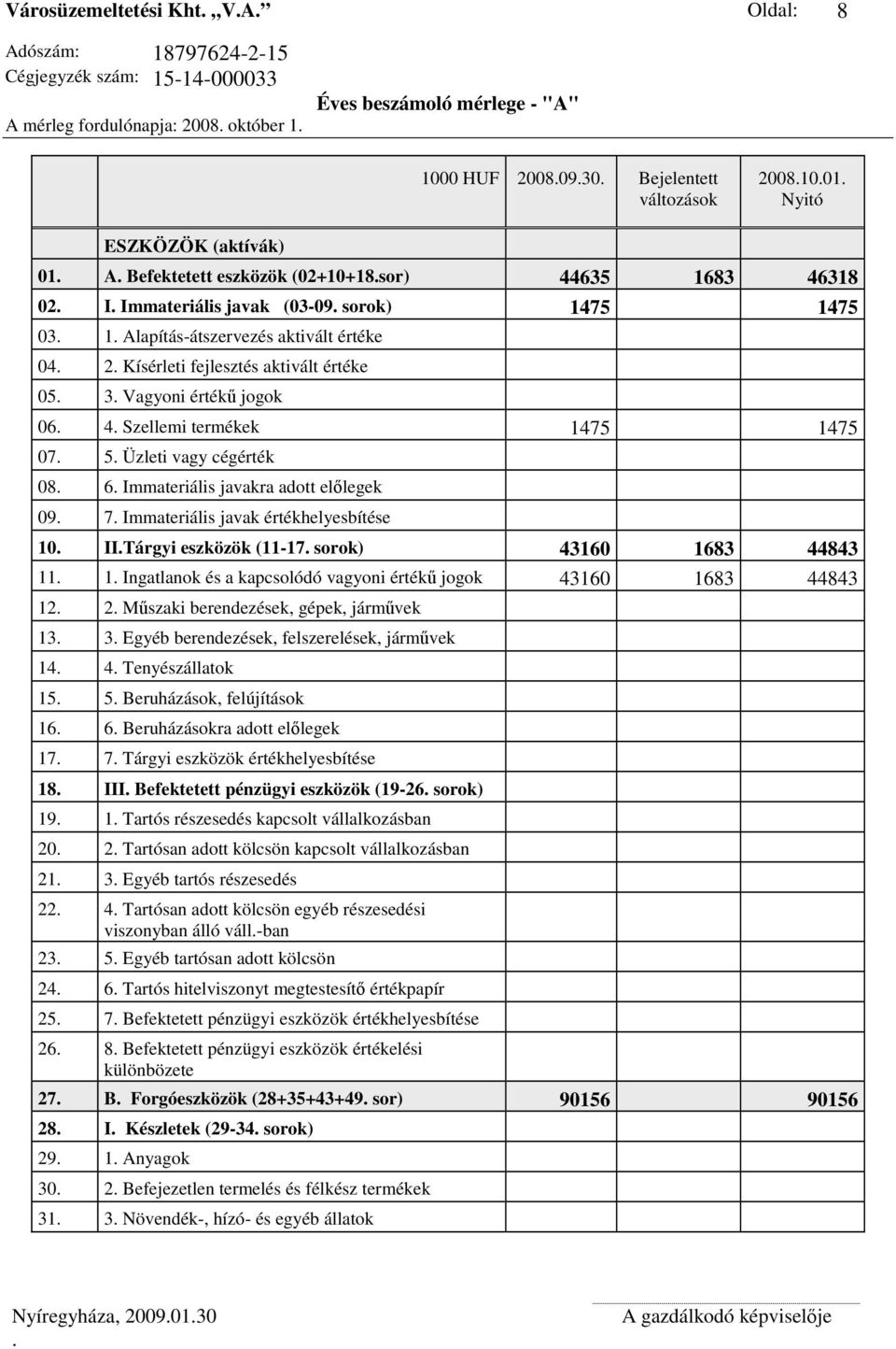 Kísérleti fejlesztés aktivált értéke 05. 3. Vagyoni értékű jogok 06. 4. Szellemi termékek 1475 1475 07. 5. Üzleti vagy cégérték 08. 6. Immateriális javakra adott előlegek 09. 7.