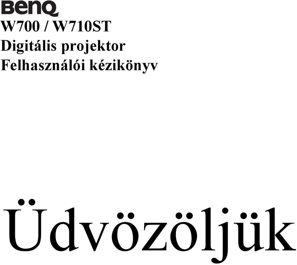 projektor