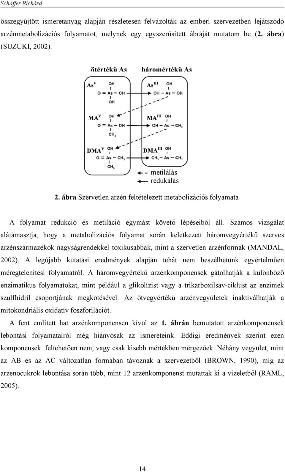 ábra Szervetlen arzén feltételezett metabolizációs folyamata A folyamat redukció és metiláció egymást követő lépéseiből áll.