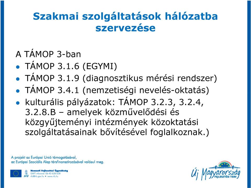 1 (nemzetiségi nevelés-oktatás) kulturális pályázatok: TÁMOP 3.2.3, 3.2.4, 3.2.8.