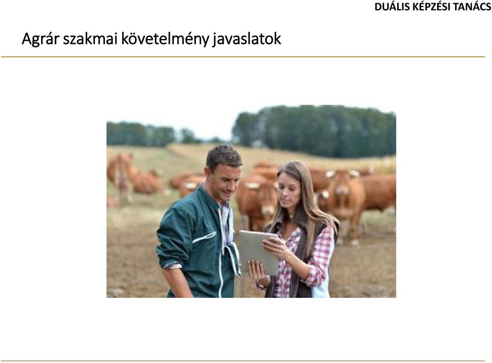 javaslatok