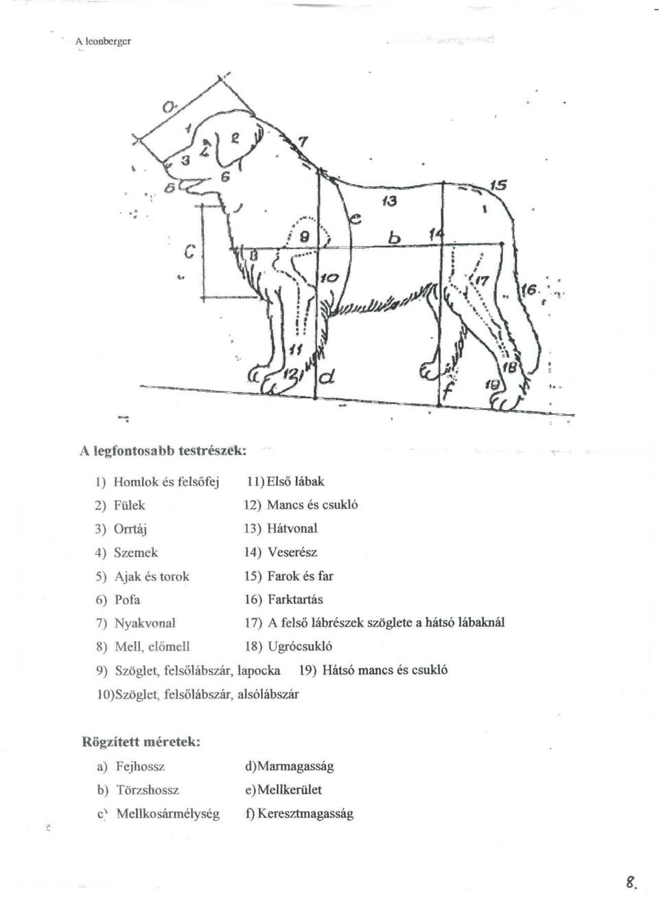 hatso labaknal 8) Mell, elomell 18) Ugrocsuklo 9) Szoglet, felsolabszar, lapocka 19) Hatso manes es csuklo 10) Szoglet,