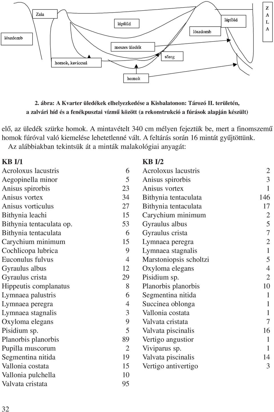 Az alábbiakban ekinsük á a minák malakológiai anyagá: KB I/1 Acroloxus lacusris 6 Aegopinella minor 5 Anisus spirorbis 23 Anisus vorex 34 Anisus voriculus 27 Bihynia leachi 15 Bihynia enaculaa op.