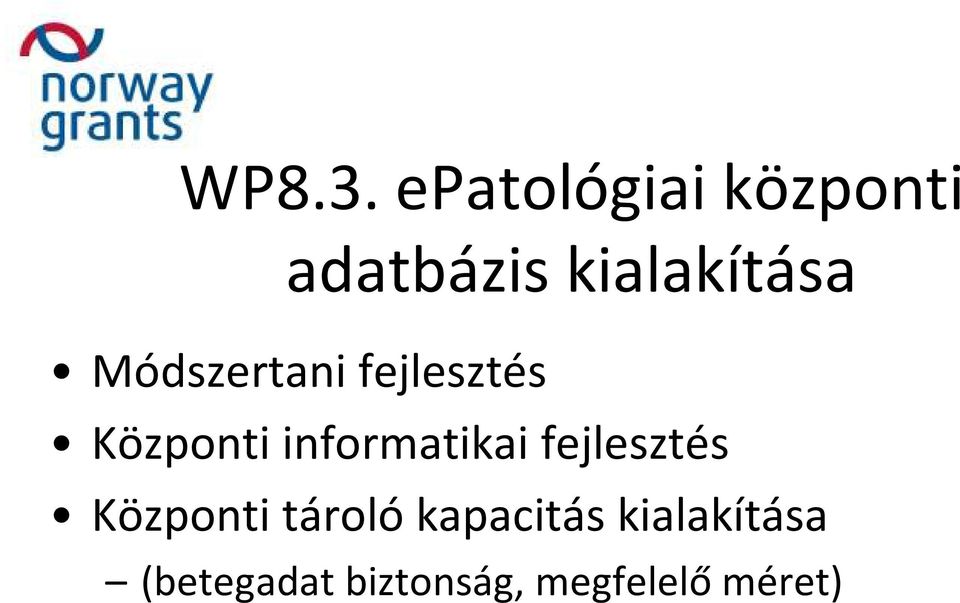 Módszertani fejlesztés Központi informatikai