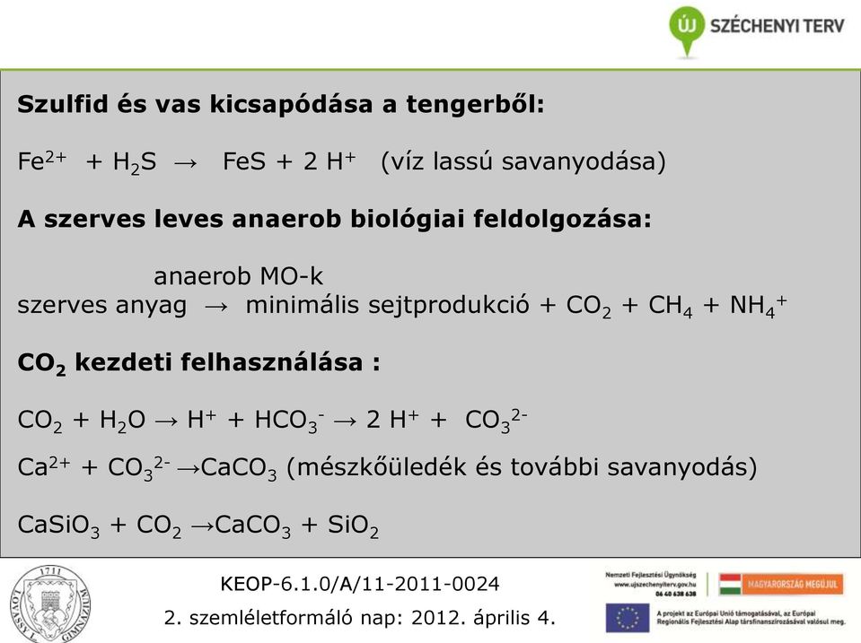 sejtprodukció + CO 2 + CH 4 + NH 4 + CO 2 kezdeti felhasználása : CO 2 + H 2 O H + + HCO 3-2