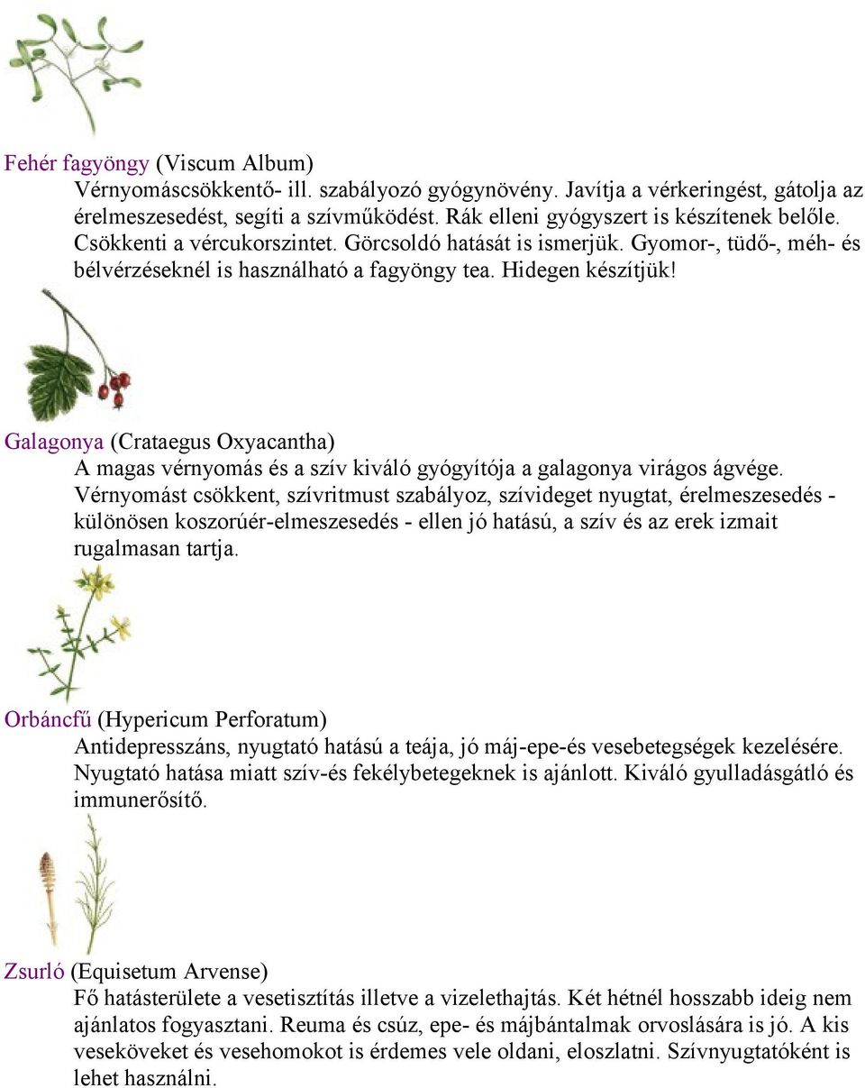 Galagonya (Crataegus Oxyacantha) A magas vérnyomás és a szív kiváló gyógyítója a galagonya virágos ágvége.