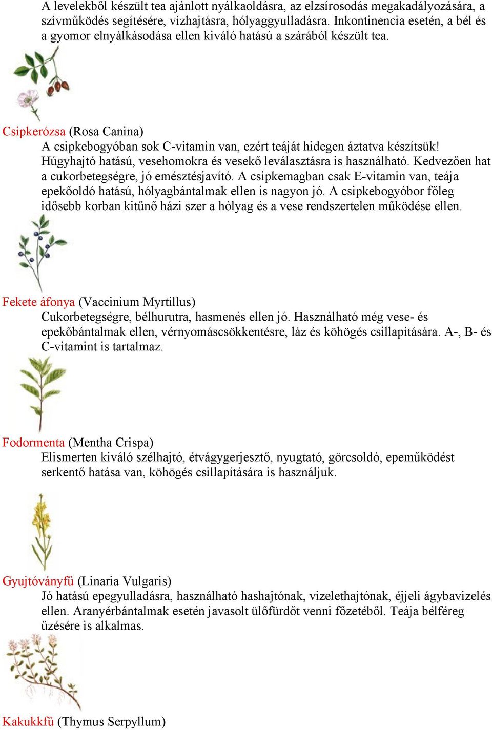 Húgyhajtó hatású, vesehomokra és vesekő leválasztásra is használható. Kedvezően hat a cukorbetegségre, jó emésztésjavító.