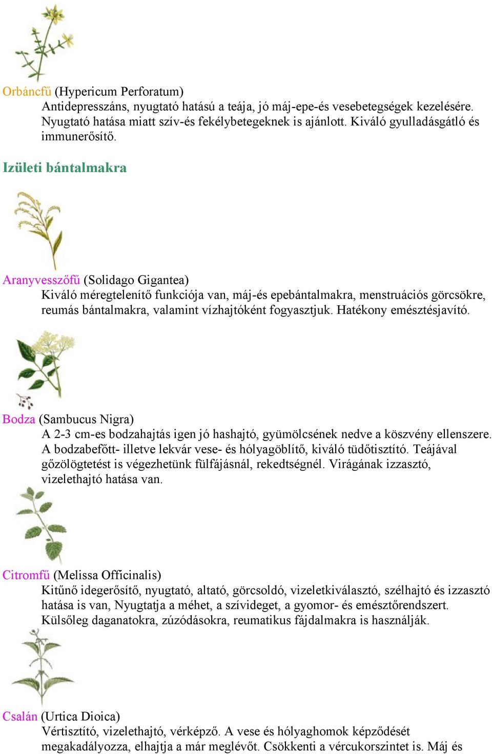 Izületi bántalmakra Aranyvesszőfű (Solidago Gigantea) Kiváló méregtelenítő funkciója van, máj-és epebántalmakra, menstruációs görcsökre, reumás bántalmakra, valamint vízhajtóként fogyasztjuk.