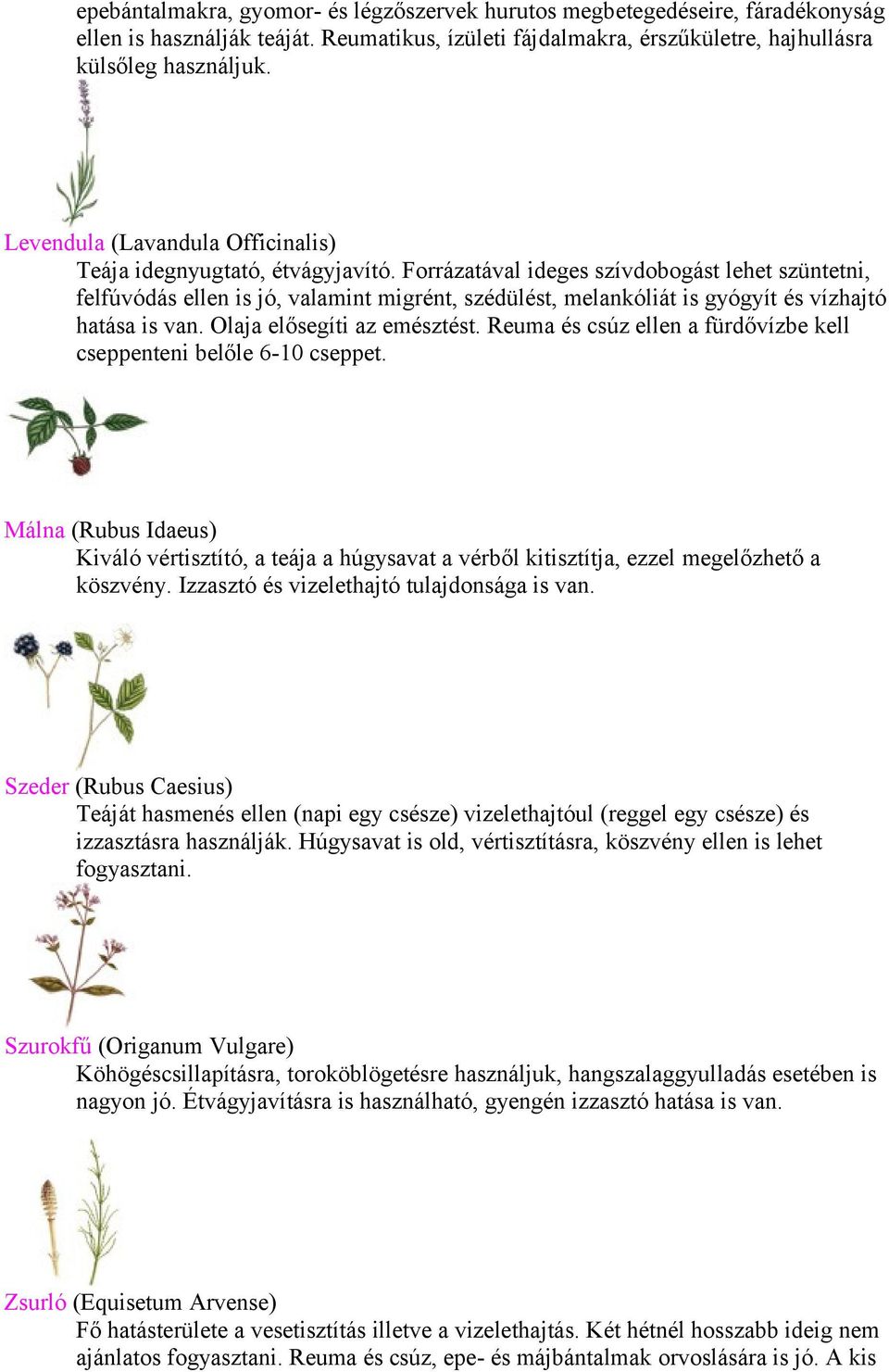 Forrázatával ideges szívdobogást lehet szüntetni, felfúvódás ellen is jó, valamint migrént, szédülést, melankóliát is gyógyít és vízhajtó hatása is van. Olaja elősegíti az emésztést.